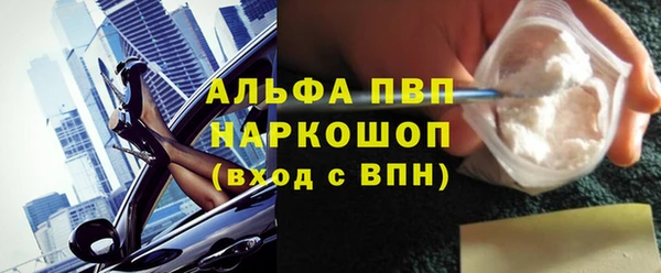гашик Тутаев